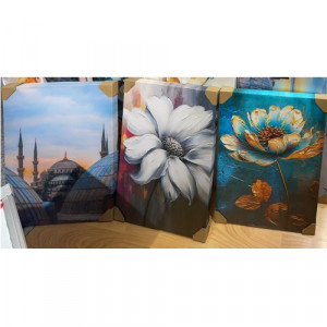 Slika 50x70cm ART:25B40004