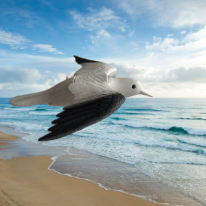 Galeb 58x41x19cm